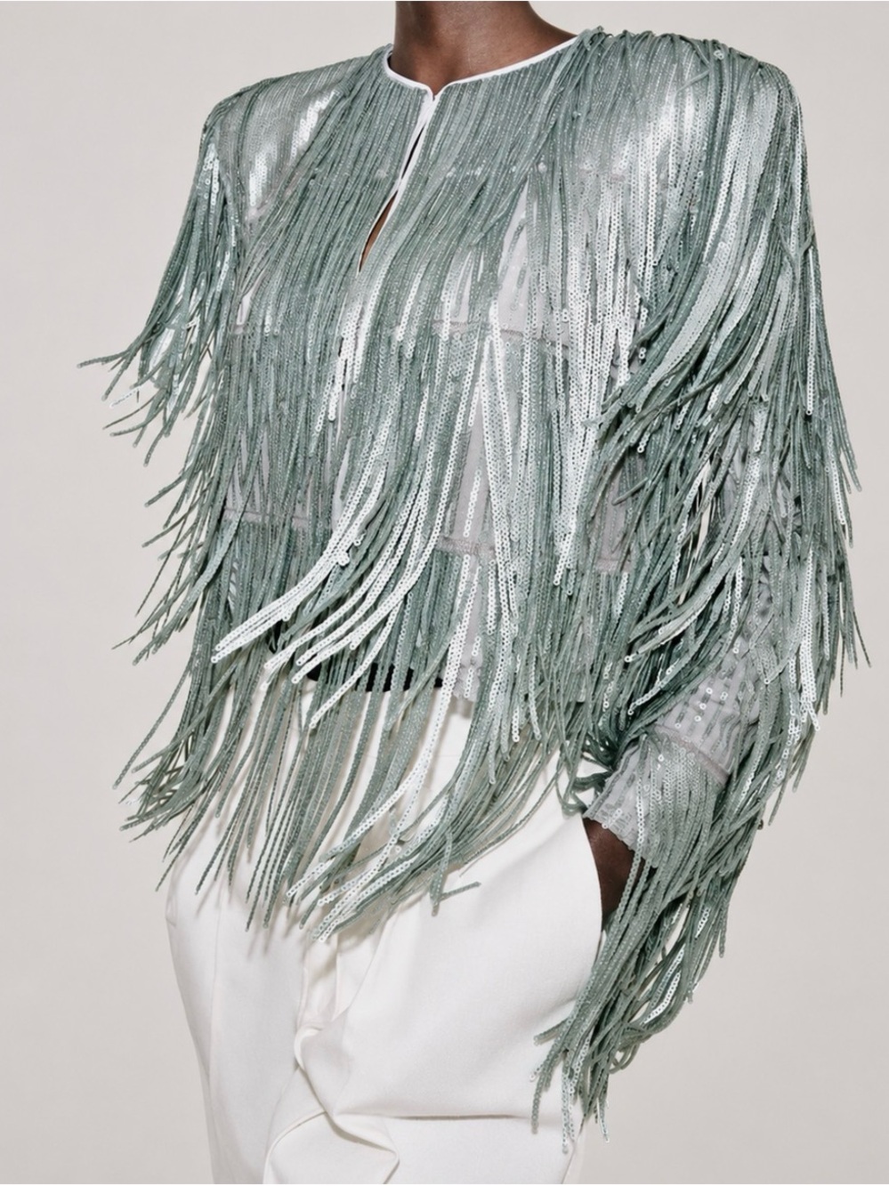 ZARA Sequin Fringe Jacket